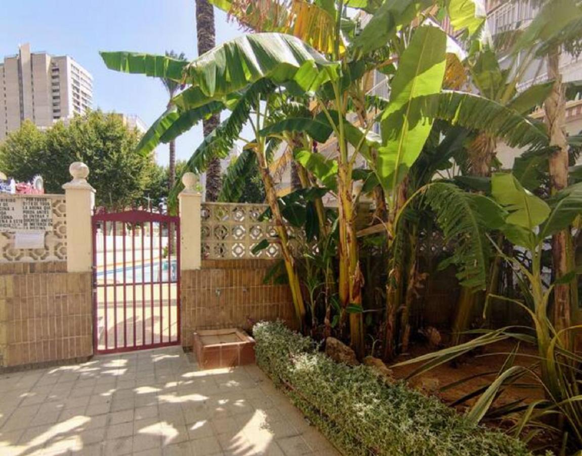 Apartamento BENIDORM ROCAS ONE, un oasis a 100 metros del mar Exterior foto